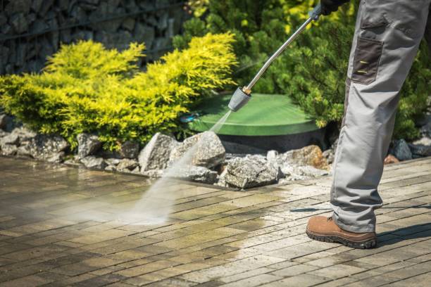 Best Boat and Dock Cleaning  in Lindale, TX